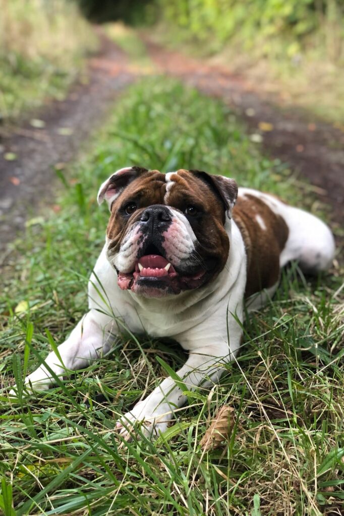 Millie - On Site Installation Supervisor